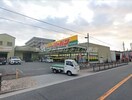 ジャパン津守店(ショッピングセンター/アウトレットモール)まで579m F maison fogliaⅡ