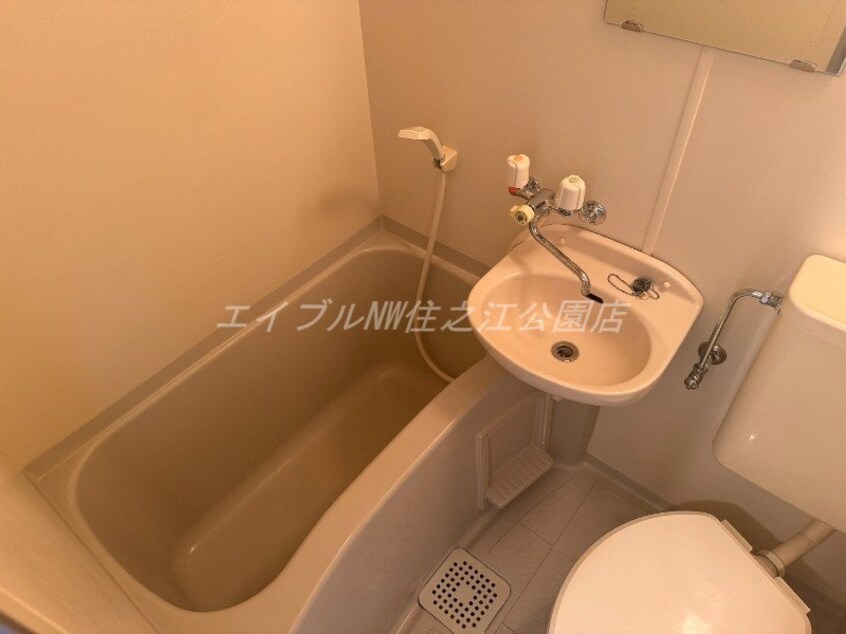  ラフィネシエル