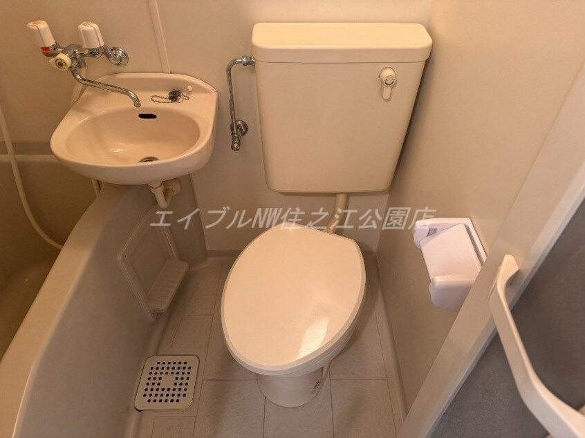  ラフィネシエル