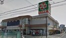 ライフ御崎店(スーパー)まで973m ロイヤル西住之江