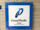  グランパシフィック岸里東