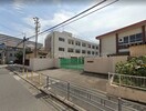 大阪市立加賀屋小学校(小学校)まで269m シャトー松山