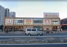 Can★Do近商ストア住吉店(電気量販店/ホームセンター)まで379m 愛和苑