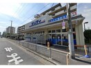 サンディ住之江加賀屋店(スーパー)まで553m アベニュー中加賀屋