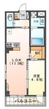 ルーリジェール 1LDKの間取り