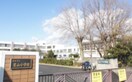 小学校まで1100m※栗東市立葉山小学校 グロワール