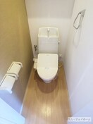  トリムガーデン