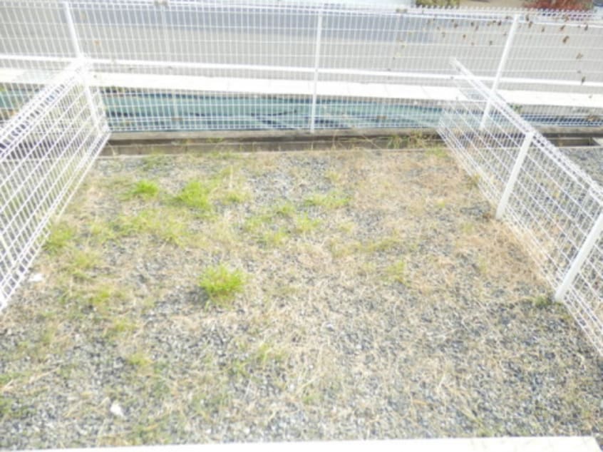  グリーンハイム