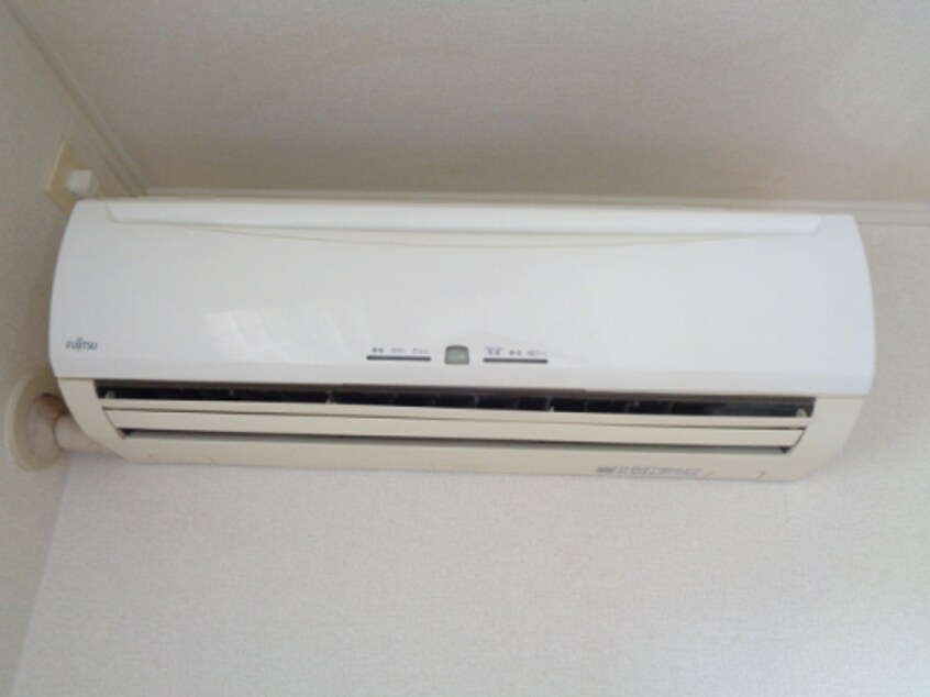  アガパンサスⅡ