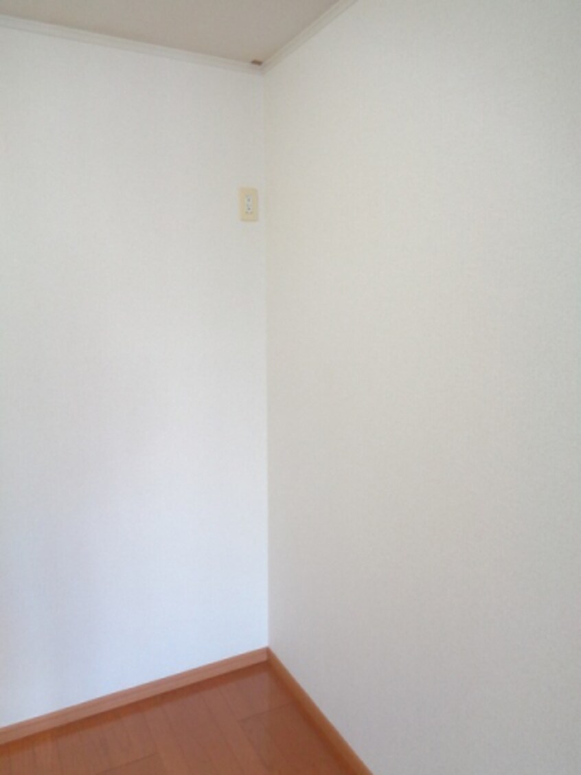  アガパンサスⅡ