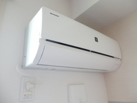  Ｒａｆｆｉｎｅ　Ｂｉｗａ