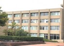 大学/短大/専門学校まで2800m※滋賀医科大学 ウィン オカダヤ