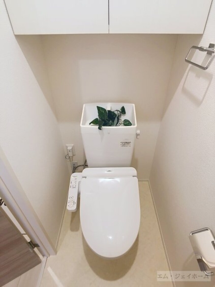  シャルム・リリー