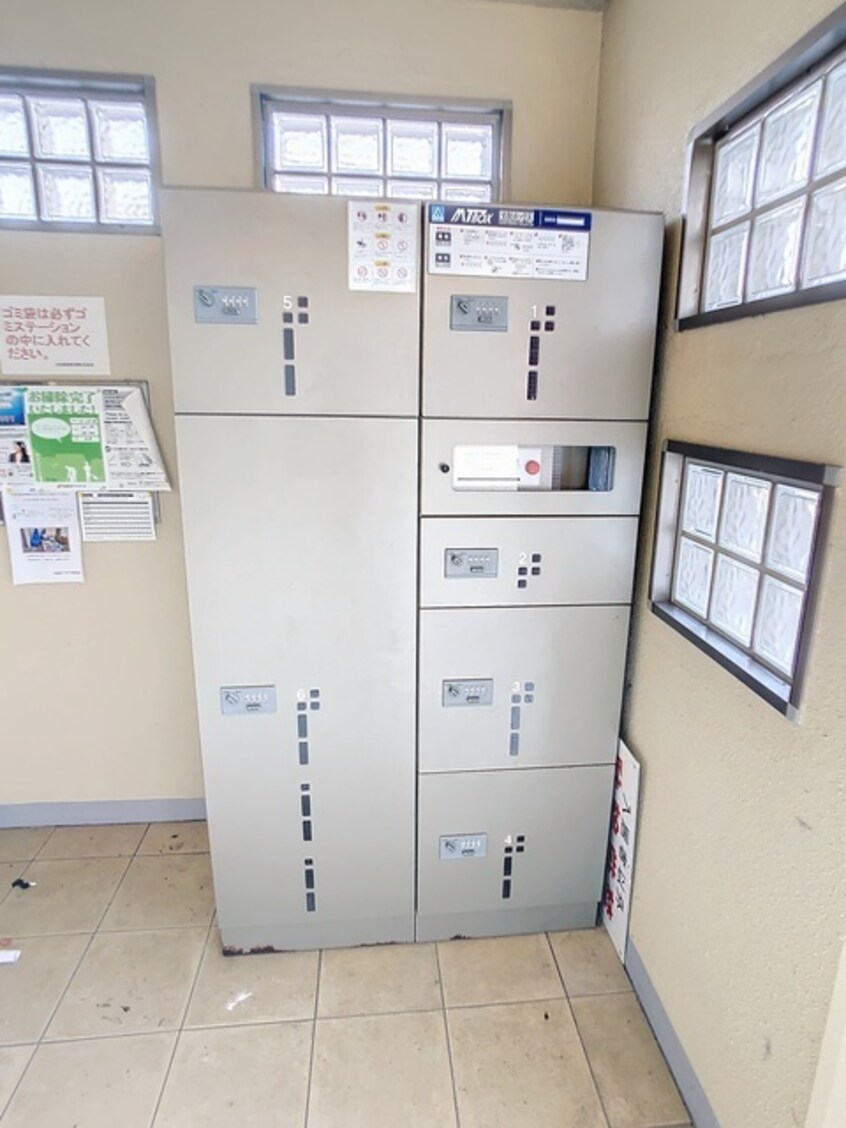  シーダーエース