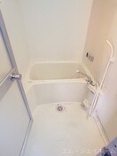  サラナフラット