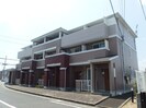 ウイニングの外観