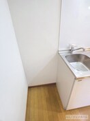  グレイスコートつる