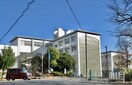 高等学校/高等専門学校まで900m※滋賀県立水口東中学校・高等学校 アクア　フォレスト