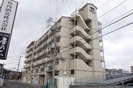 アスリートの外観
