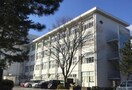 小学校まで1000m※草津立市玉川小学校 フィ－ルドロ－ドⅡ