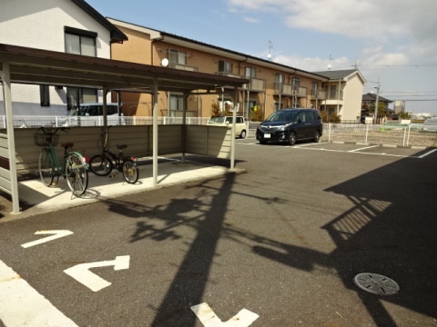  プリマヴェーラ