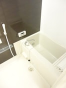  サニーリュート