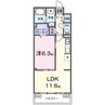 ラクーン守山 1LDKの間取り