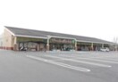 スーパーまで1300m※コープもりやま店 PRATO VERDE (プラート ヴェルデ)