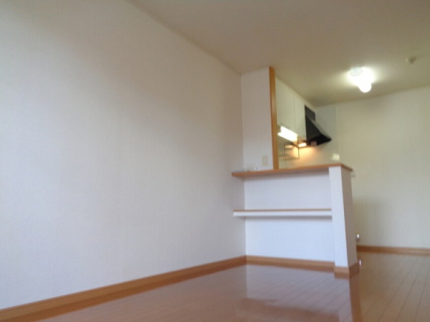  アガパンサスⅡ