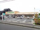 スーパーまで500m※フレンドマート　八幡鷹飼店 シャーメゾン　ｓｈｉｒａｔｏｒｉ