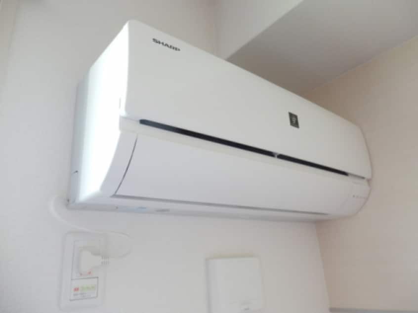  Ｒａｆｆｉｎｅ　Ｂｉｗａ