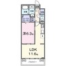 バンブーフォレスト　Ⅱ 1LDKの間取り