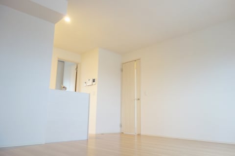  サンシャイン飛竜