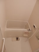  ラ・プラメンテ