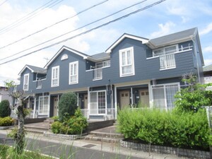 Ｂａｍｂｏｏ仲道