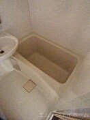  レークナウリバーⅡ