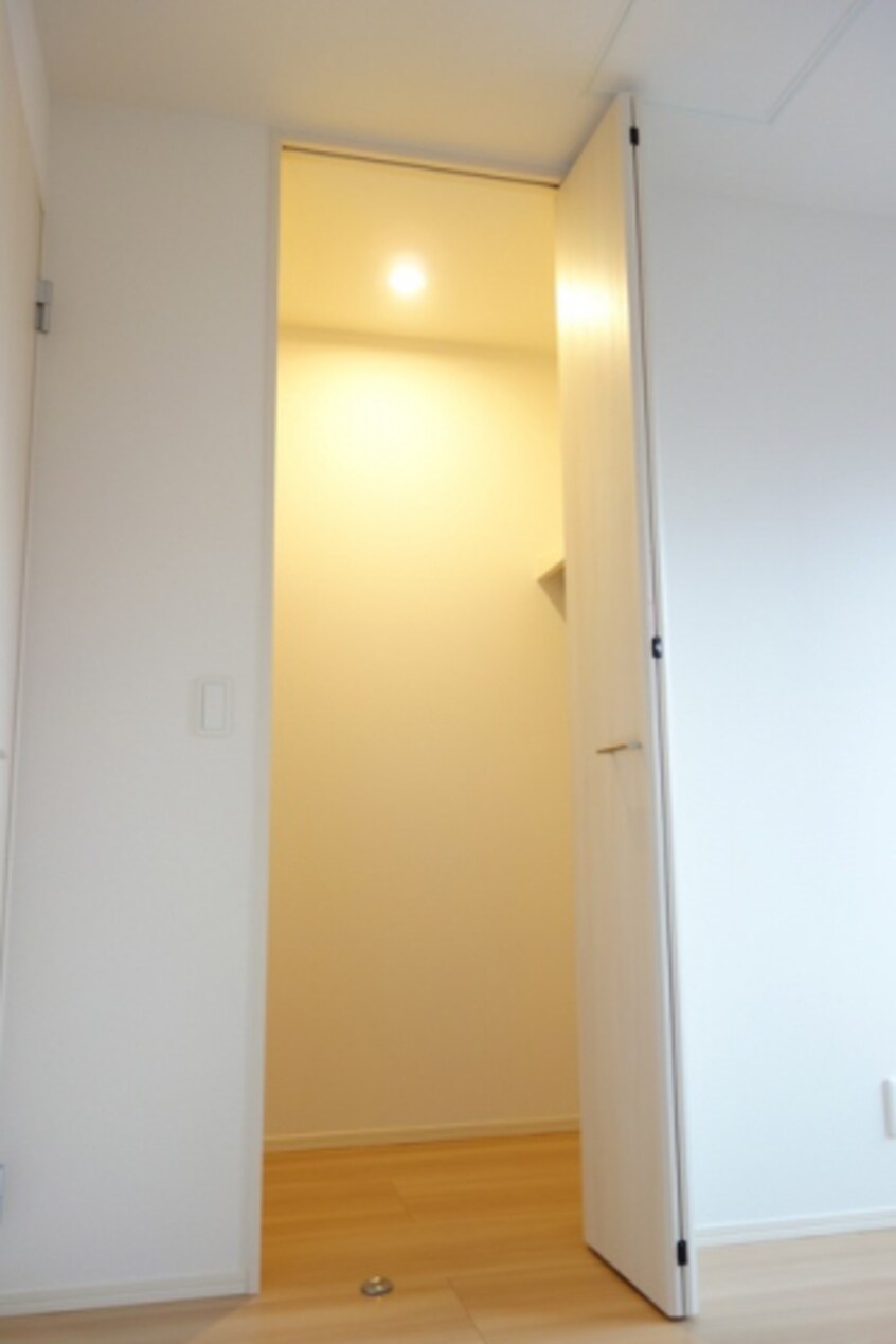  サンシャイン飛竜