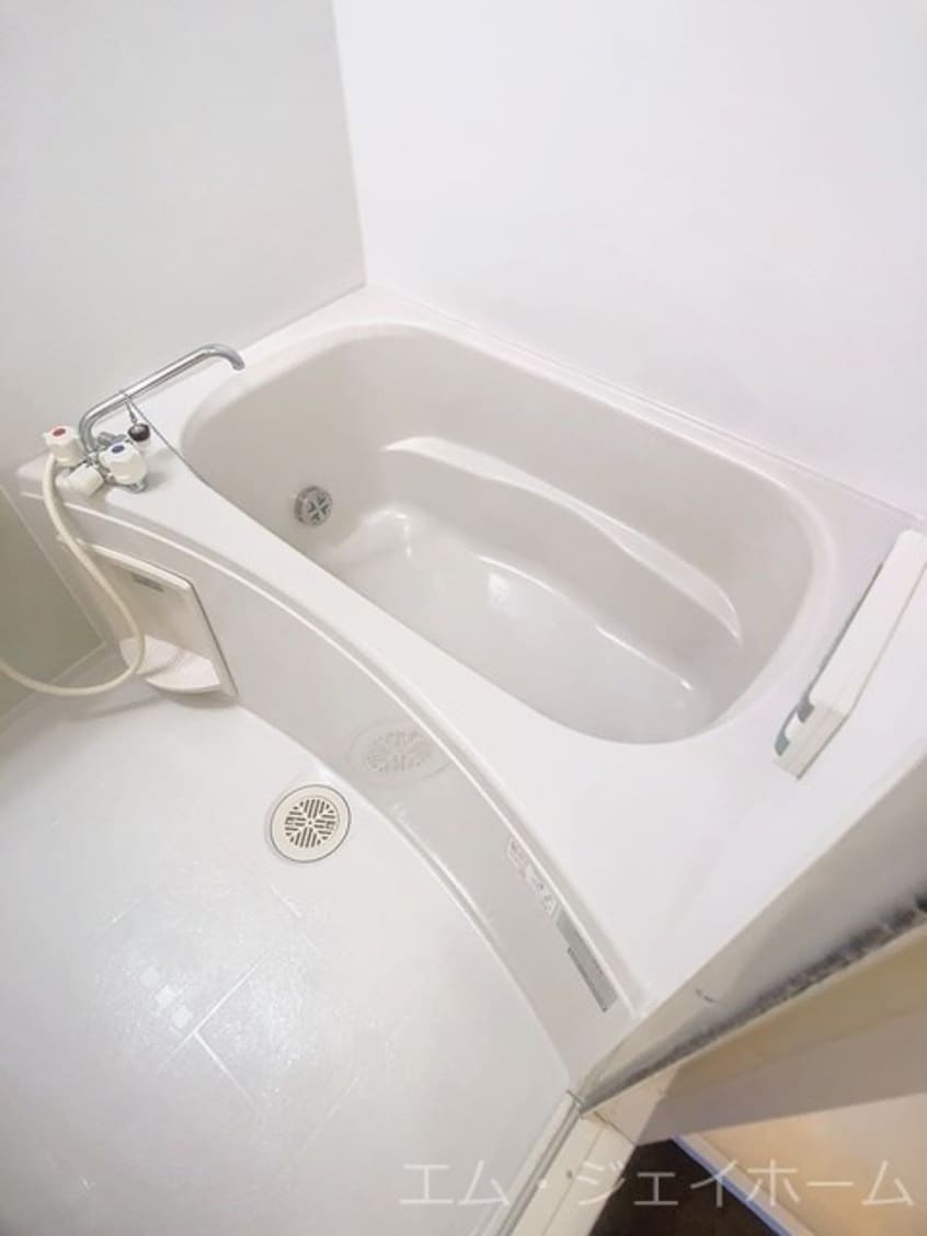  Ｌｉｔｔｌｅ　Ｆｏｒｅｓｔ　Ⅰ