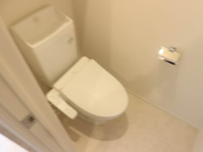  Lys Gracieux（リス　グラシュー）