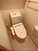  サニーコートアレックス