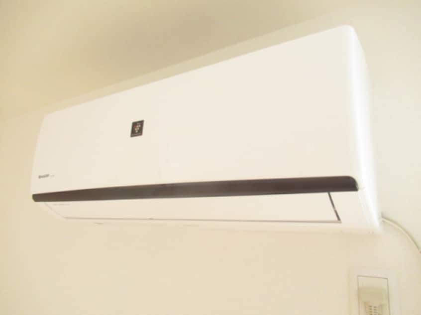  ホワイトクレイン野洲