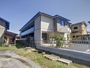 フレージア