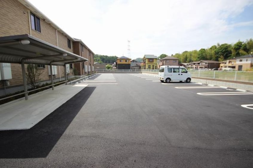  ラズベリー　コート