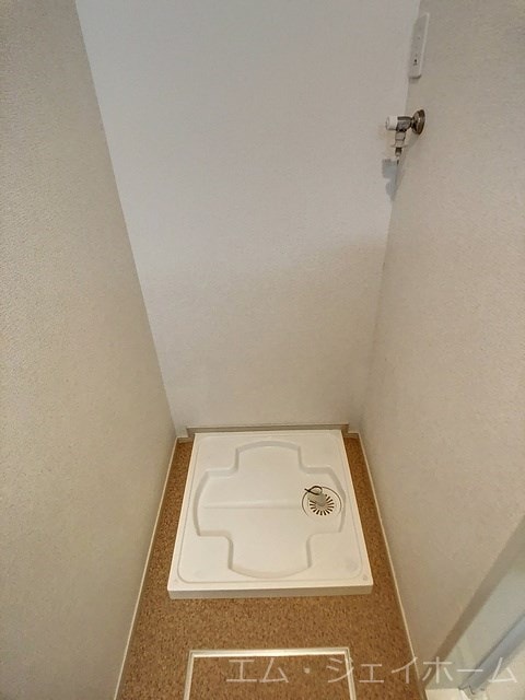  ラズベリー　コート