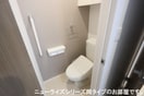 同タイプ プリムローズ　K