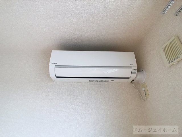  MAISON LAST WISTERIA