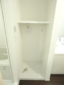  グランデ　ピーノ　トレ