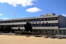 中学校/中等教育学校まで1500m※東近江市立朝桜中学校 桜ユーミーマンション
