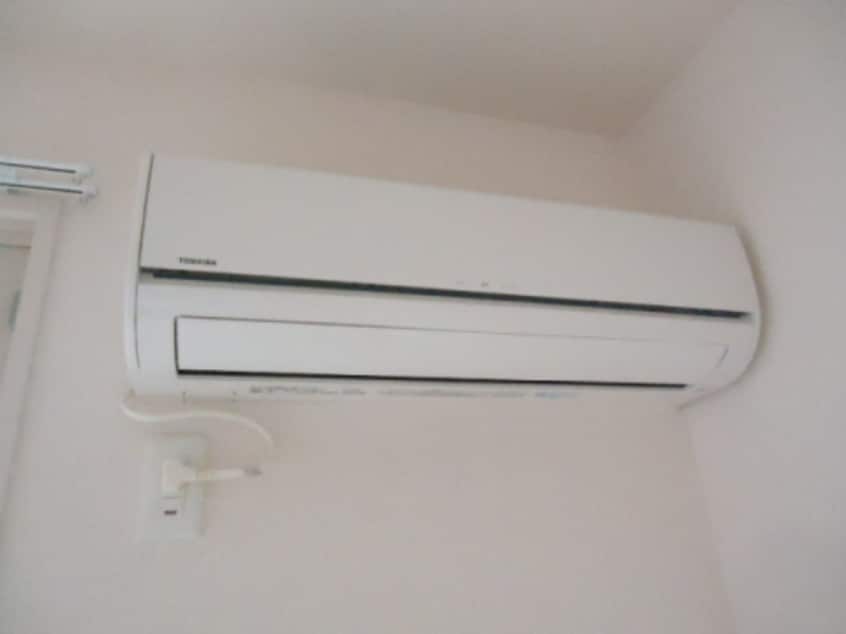  サニーリュート