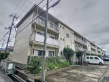 藤マンション